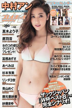 新白娘子传奇 电视剧