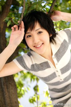 枫与铃免费看